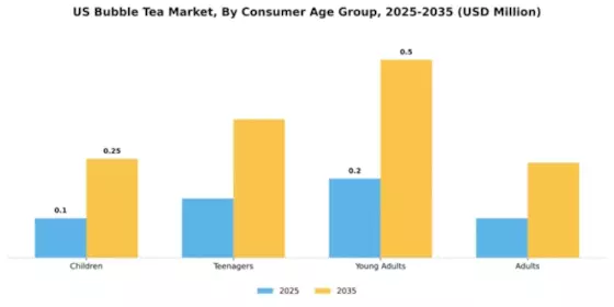 US Europe Bubble Tea Market Segment Image 0