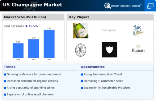 US Champagne Market Infographic