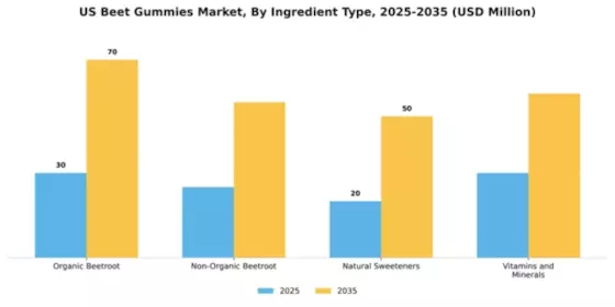 US North America Beet Gummies Market Segment Image 3