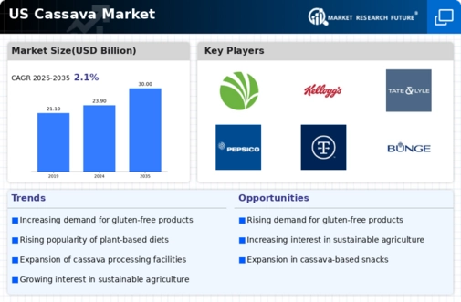 US Cassava Market Infographic