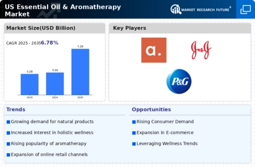 US Essential Oil Aromatherapy Market  Infographic