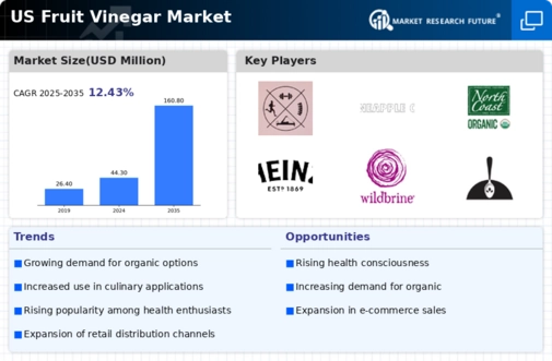 US Fruit Vinegar Market Infographic