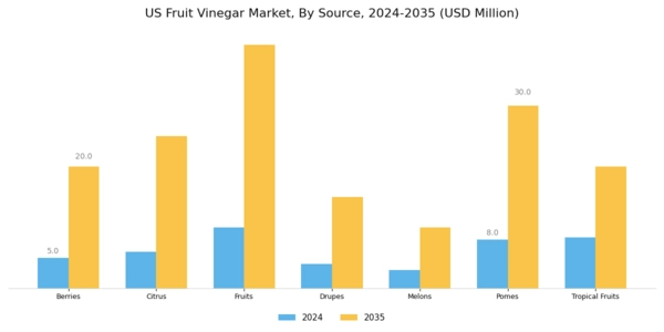 US Fruit Vinegar Market Segment Image 0