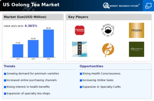 US Oolong Tea Market Infographic