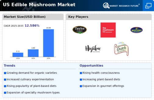 US Edible Mushroom Market Infographic