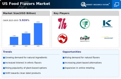 US Food Flavors Market Infographic