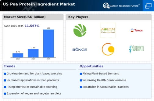 US Pea Protein Ingredient Market Infographic