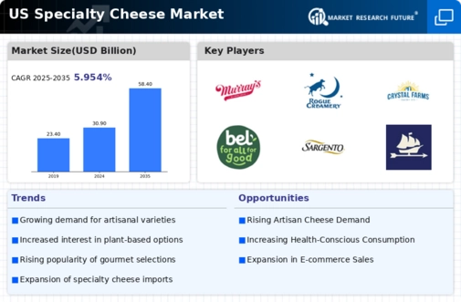 US Specialty Cheese Market Infographic