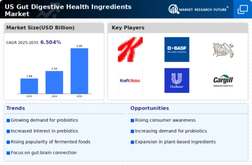 US Gut Digestive Health Ingredients Market Infographic