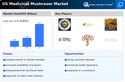 US Medicinal Mushroom Extract Market Infographic