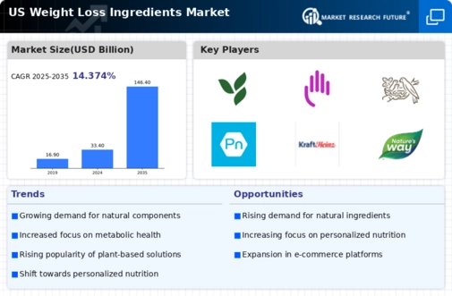 US Weight Loss Ingredients Market Infographic