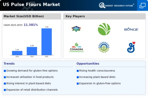 US Pulse Flours Market Infographic