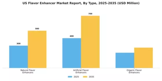 US Flavor Enhancer Market Segment Image 3