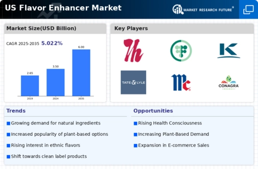 US Flavor Enhancer Market Infographic