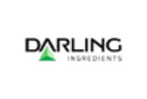 US Edible Insects Market key player