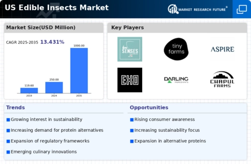US Edible Insects Market Infographic