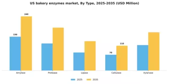 US Bakery Enzymes Market Segment Image 4