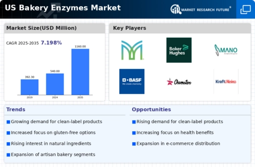 US Bakery Enzymes Market Infographic