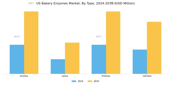 US Bakery Enzymes Market Segment Image 1