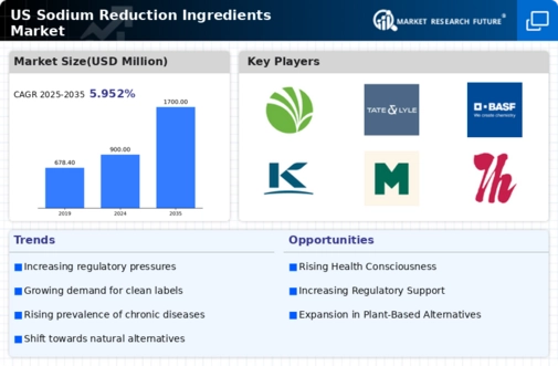 US Sodium Reduction Ingredients Market Infographic