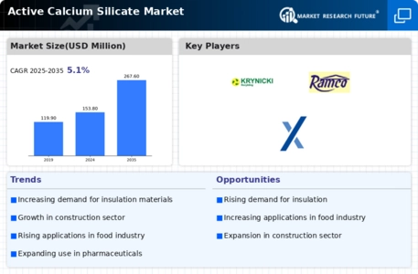 Active Calcium Silicate Market Infographic