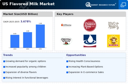 US Flavored Milk Market Infographic