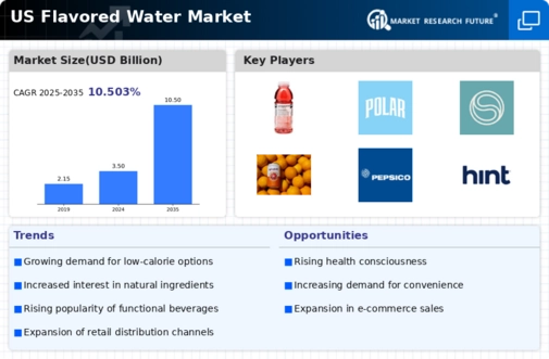 US Flavored Water Market Infographic
