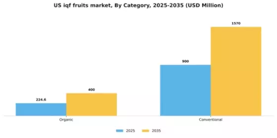 US IQF fruits vegetables Segment Image 1