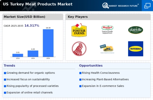 US Turkey Meat Products Market Infographic