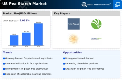 US Pea Starch Market Infographic