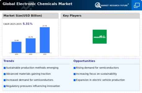 Electronic Chemicals Market Infographic
