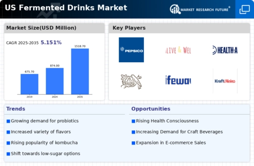 US Fermented Drinks Market  Infographic