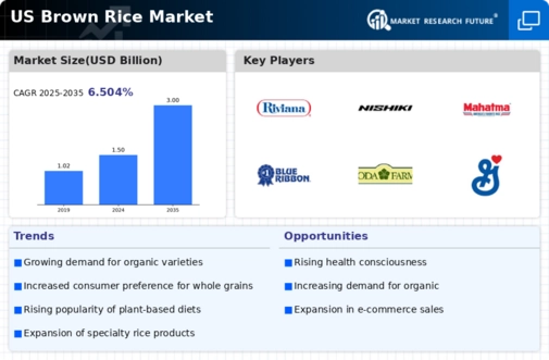 US Brown Rice Market Infographic