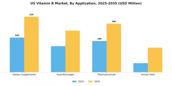 US Vitamin B Market  Segment Image 0