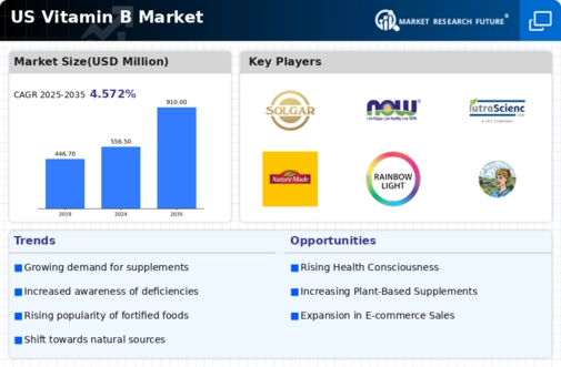 US Vitamin B Market  Infographic