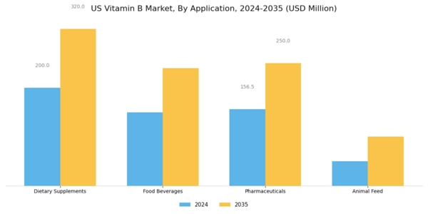 US Vitamin B Market  Segment Image 0