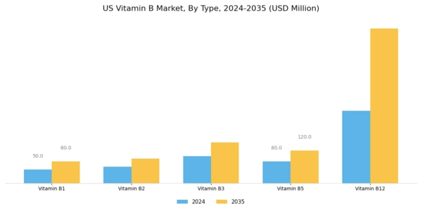 US Vitamin B Market  Segment Image 1