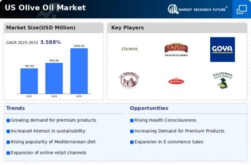 US Olive Oil Market  Infographic
