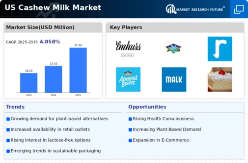 US Cashew Milk Market  Infographic