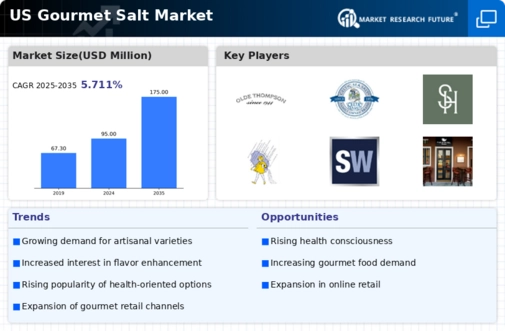 US Gourmet Salt Market Infographic