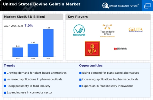 US Bovine Gelatin Market Infographic