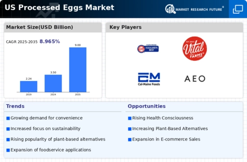 US UK Processed Eggs Market Infographic