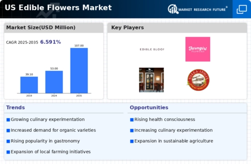 US Edible Flowers Market Infographic