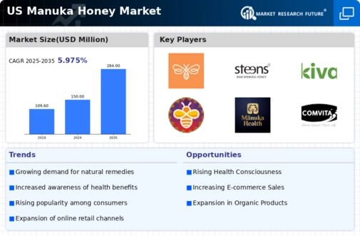 US Manuka Honey Market Infographic