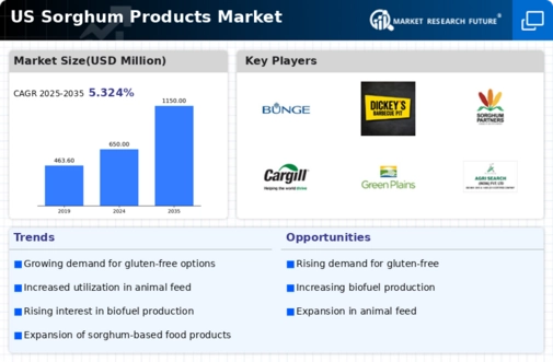 US Sorghum Products Market Infographic
