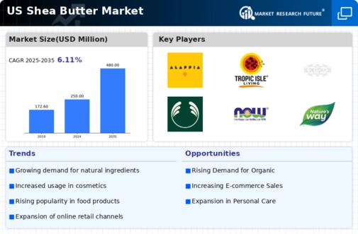 US Shea Butter Market Infographic