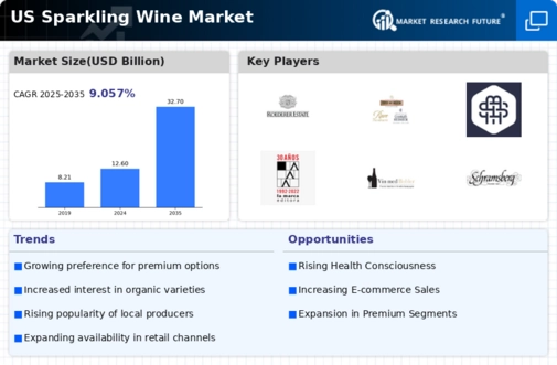 US Sparkling Wine Market Infographic