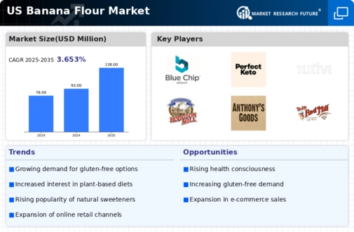 US Banana Flour Market Infographic