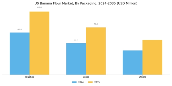 US Banana Flour Market Segment Image 1