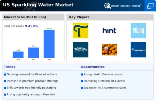 US Sparkling Water Market  Infographic